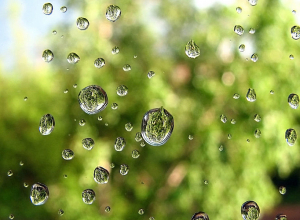 Առանձին շրջաններում սպասվում է կարճատև անձրև