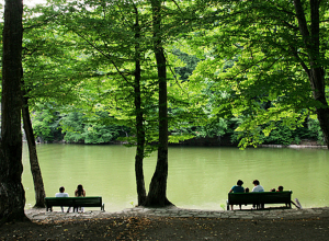 Պարզ լճի տարածքում քաղաքացի է մոլորվել