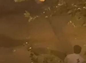 Factor ․ Պուշկին-Եկմալյան խաչմերուկում 5 րոպեում կտրել են մեծ ծառն ու տարել․ լրացված