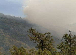 Իջևանի գինու գործարանի մոտակայքում օգոստոսի 31-ին բռնկված հրդեհը դեռ չի մարվել