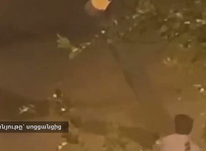 Մայրաքաղաքի կենտրոնում ծառ հատած անձինք հայտնաբերվել են