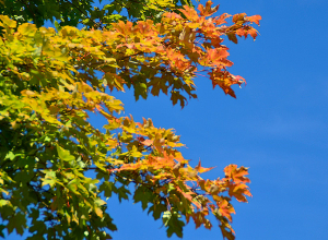 Ջերմաստիճանը կիջնի, այնուհետ կրկին կբարձրանա