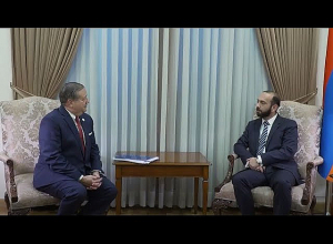 Արարատ Միրզոյանն ընդունել է ՄՀԻ եվրասիական տարածաշրջանի տնօրեն Սթիվեն Նիքսին