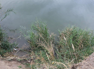 Կրակել է 61-ամյա տղամարդու վրա, հետո՝ ոտքերին բետոնե սյուներ կապել ու գցել լիճը