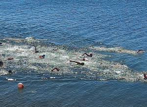 Սևանա լճում 100-ից ավելի երեխաներ և մեծահասակներ մրցում են միանգամից 3 մարզաձևերում