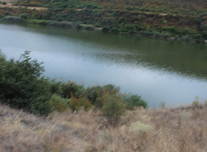 Բացահայտվել է Արագածավանի բնակչի սպանության դեպքը