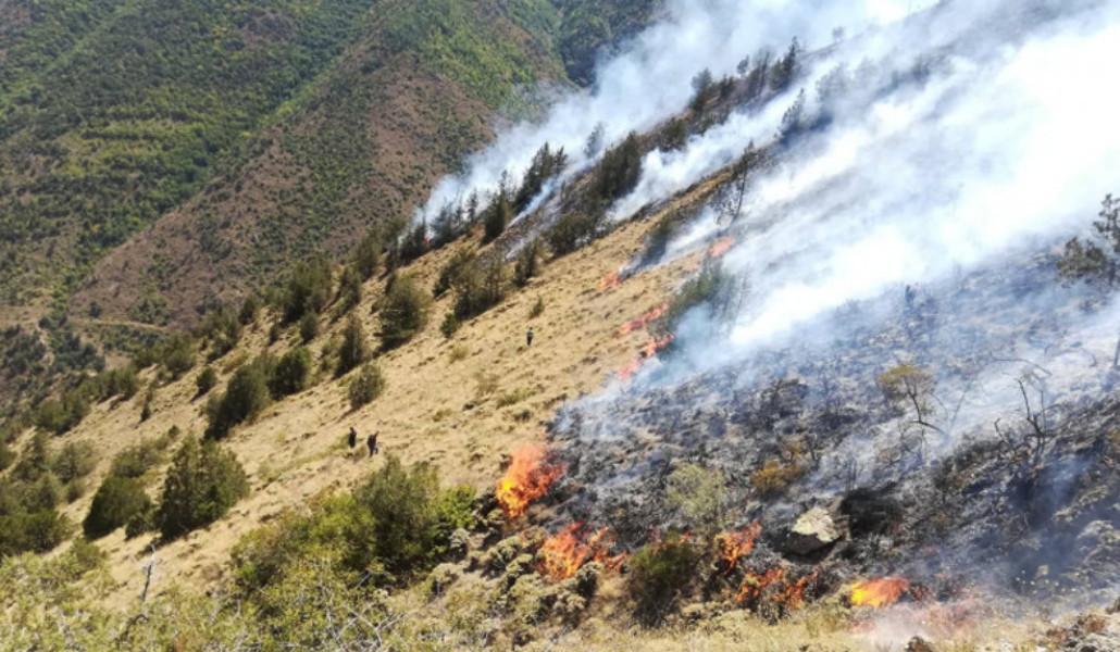 f5d5d7354e449b_5d5d7354e44f0