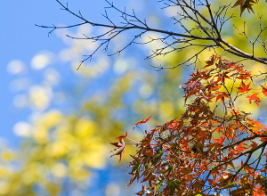 Ջերմաստիճանը 5-7 աստիճանով  կբարձրանա․ տեղումներ չեն սպասվում