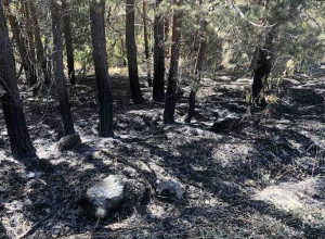 Ջերմուկում զննվել է հրետակոծության հետևանքով հրդեհված 7 հեկտար անտառային տարածք