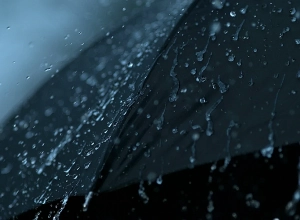 Температура понизится: ожидаются осадки