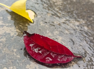 Ինչ եղանակ է սպասվում առաջիկա օրերին