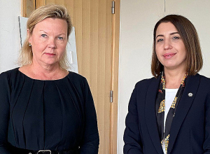 ՀՀ ՄԻՊ-ն հանդիպել է  ԵԽ Ժողովրդավարության հարցերով Գլխավոր տնօրենի հետ