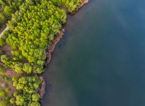 Կլիմայի փոփոխության հետևանքով լճերը փոխում են գույնը