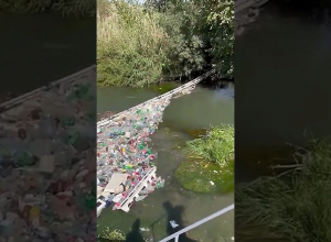 Ամիսներ առաջ մաքրած Երեւանյան լիճը