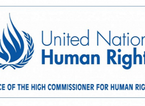 Ադրբեջանի ագրեսիայի հարցով Հայաստանի հ/կ-ները դիմել են ՄԱԿ-ի Մարդու իրավունքների հանձնակատարին