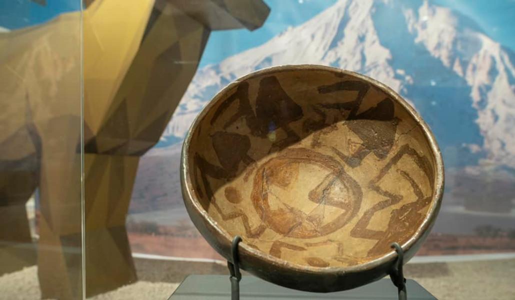 thumbnail_303651021_5694653147239457_3858719190761147494_n