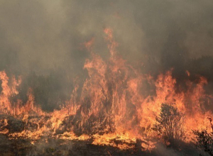 Հրդեհ Գեղամավան գյուղում․ Դեպքի վայր է մեկնել երկու մարտական հաշվարկ