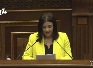 Надуманные опасения по поводу Ваагна Овакимяна неуместны: Эмма Палян