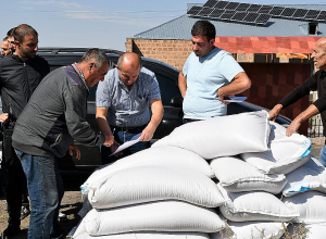 Անապահով ընտանիքներին աշնանացան ցորենի սերմացու են տրամադրում