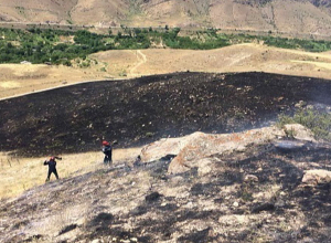 Հրազդանում այրվել է խոտածածկույթ