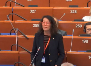 Есть сообщения о преступлениях, совершенных Азербайджаном: Лаура Кастел, Испания