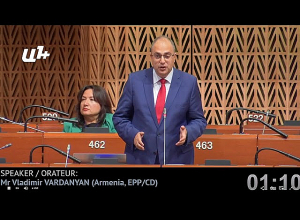 Խտրականություն դնել կորոնավիրուսի դեմ պատվաստանյութերի միջև, եվրոպական արժեքների դեմ է. Վ. Վարդանյան