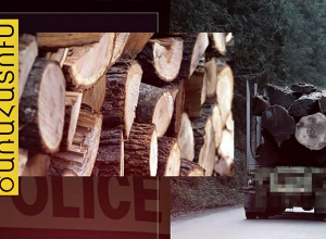 Ցեմենտբետոնե բլոկով քողարկված ապօրինի փայտանյութը հայտնաբերվեց