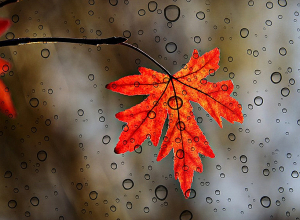 Температура воздуха понизится