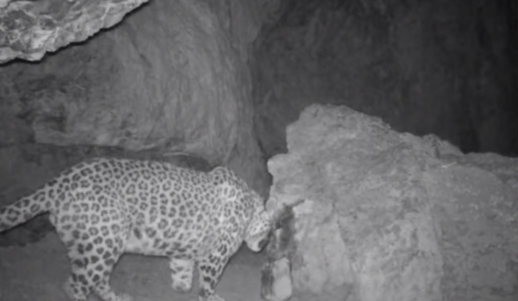 42b7737ae395b2f30fda70a4912287ba