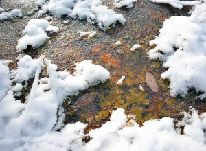 Լեռնային շրջաններում կտեղա թաց ձյուն