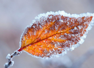 Եվս 2-3 աստիճանով կցրտի
