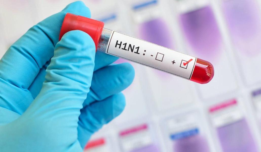 313353343_429777909335564_6920733949784445574_n