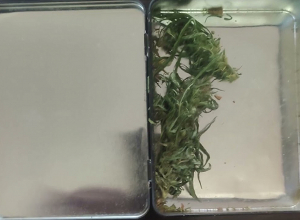 Полиция Джермука обнаружила наркотики у жителя Гндеваза