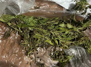 Патрульные Ширакской области раскрыли дело о незаконном обороте наркотиков