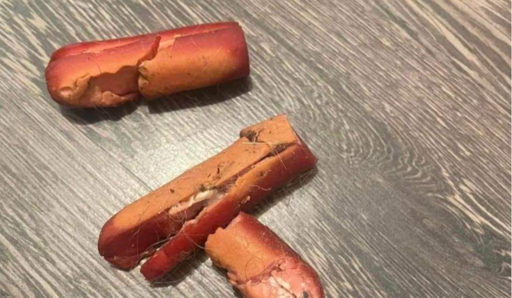 314369056_493994852753872_6017081747763079054_n