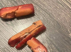 Նոր Նորքում 8-10 շուն սատկել է անհայտ նյութով լցված նրբերշիկ ուտելուց հետո