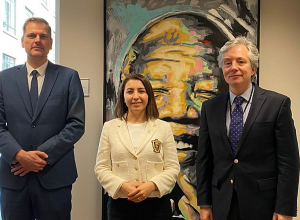 Кристине Григорян встретилась с федеральными посредниками Омбудсмена Бельгии