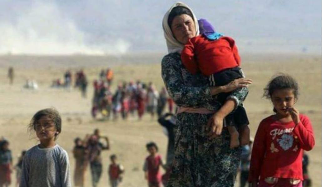 314494923_1865627320447449_6149541478668140240_n