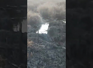 Ստեփանավանի տարածաշրջանում այրվում է խոտածածկույթ