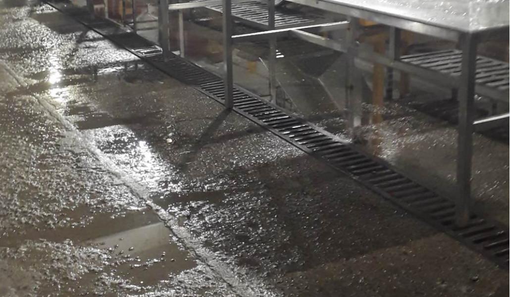 315872391_696999731594900_8111889358099186646_n