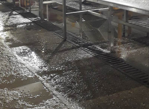 Կասեցվել է պահածոների արտադրամասի  արտադրական գործունեությունը