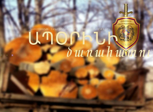 Անտառից ծառեր էր հատել