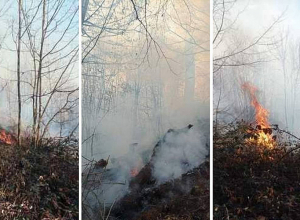 Հրդեհ Վահագնաձոր գյուղում