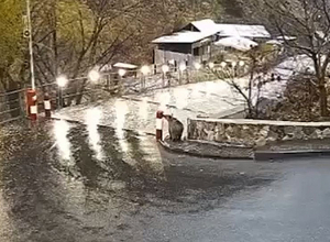 Գառնիի փողոցներում արջ է նկատվել. նա ազատ զբոսնել է գյուղում