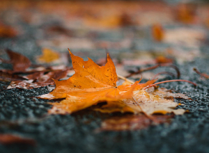 Սպասվում են տեղումներ և մառախուղ. ջերմաստիճանը կբարձրանա