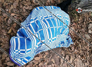 44-օրյա պատերազմի մասնակից 33-ամյա տղամարդու դին ծառից կախված վիճակում են գտել․ shamshyan.com