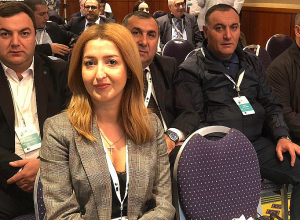 Երեւանի ցուցադրական նախագիծը ներկայացվեց Թբիլիսիում