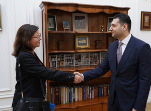 Ինչ են քննարկել փոխվարչապետ Համբարձում Մաթևոսյանն ու ՄԱԿ-ի մշտական ներկայացուցչի պաշտոնակատար Քրիսթին Վայգանդը