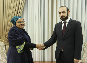 Арарат Мирзоян встретился со специальным советником генерального секретаря ООН Алисой Вайриму Ндериту