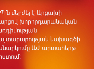 «Հայաստան» և «Պատիվ ունեմ» խմբակցությունների հայտարարության նախագիծը